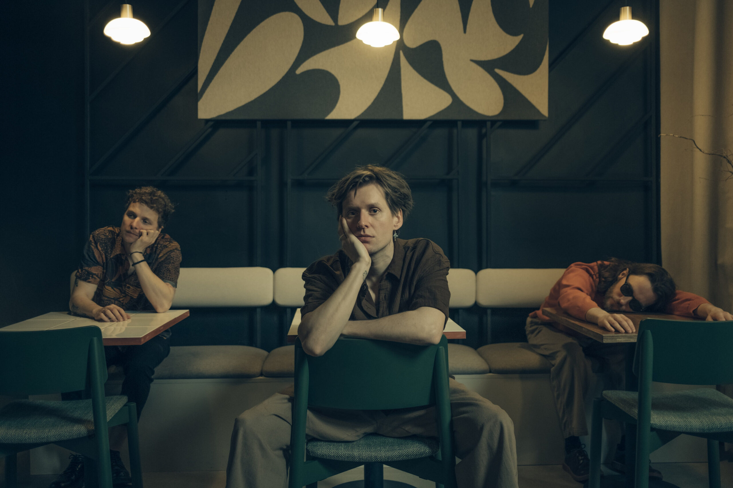 Slide promujący 13 Drzew "Dendrologia"